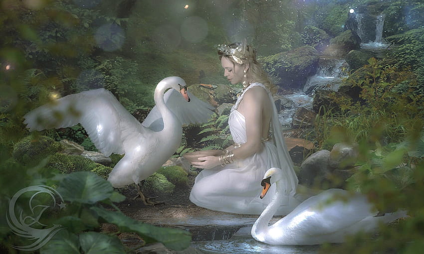Beauty and the Swans, unearthly, Fantasy, woman, beauty, fantasty land, geese, softness, Magical, Ethereal, gentleness, Swans HD wallpaper
