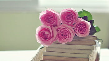 Hoa hồng hồng là biểu tượng của tình yêu và sự chân thành. Hãy đến xem hình ảnh đầy màu sắc và sống động này để cảm nhận tình cảm chân thành và sự lãng mạn.