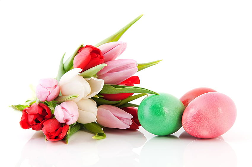 Easter egg bouquet tulip flower White HD wallpaper