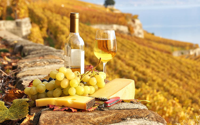 Wine And Cheese HD wallpaper