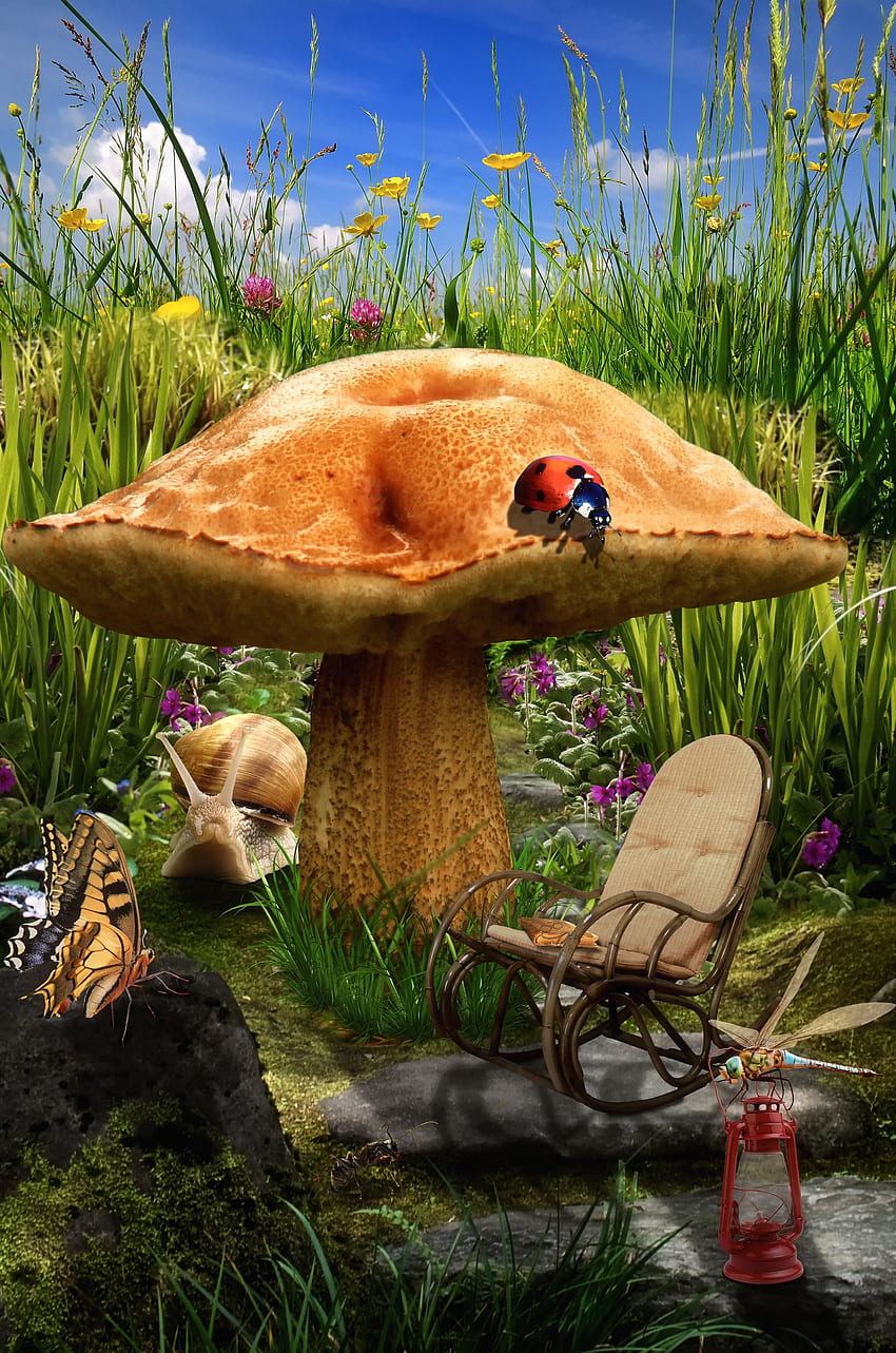 Casa delle fate dei funghi04. Grazioso , arte dei funghi, cellulare, fungo fantasy Sfondo del telefono HD