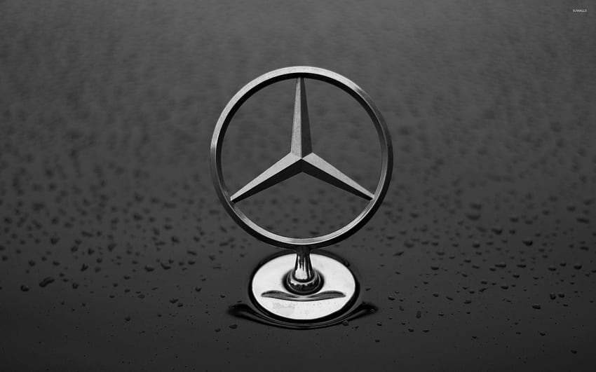 Mercedes Benz Hood Ornament Car , Car Brands HD wallpaper