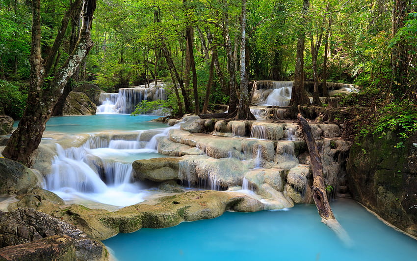 Cascata tropicale, blu, lussureggiante, acqua, roccia, foresta pluviale, turchese, cascata, fresco, natura, foresta Sfondo HD