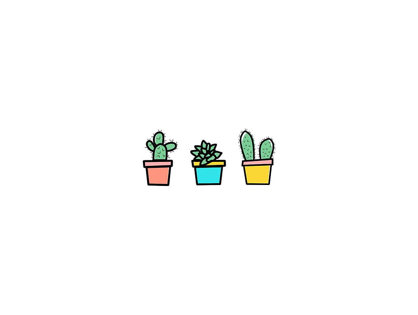 Succulent and Collection, Cute Cactus HD wallpaper | Pxfuel