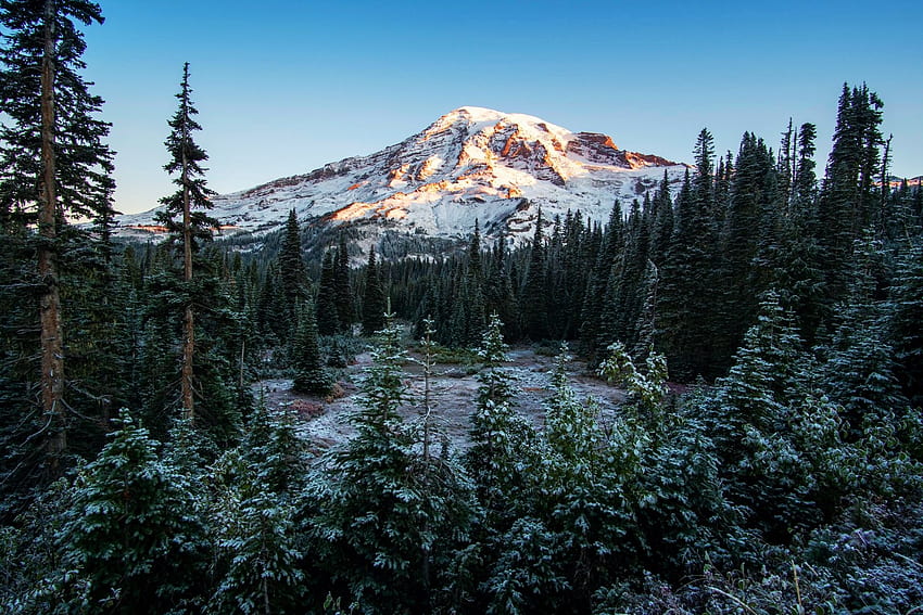 Mt Rainier Ulusal Parkı, ABD, Washington, kar, manzara, dağ, ağaçlar, gökyüzü HD duvar kağıdı