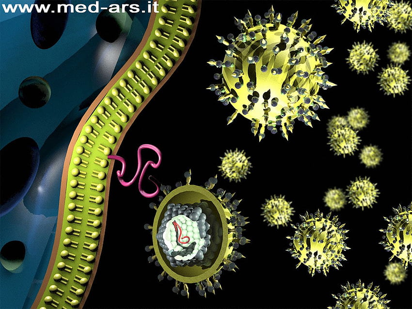 gallery 3D medical illustrations, Virus HD wallpaper
