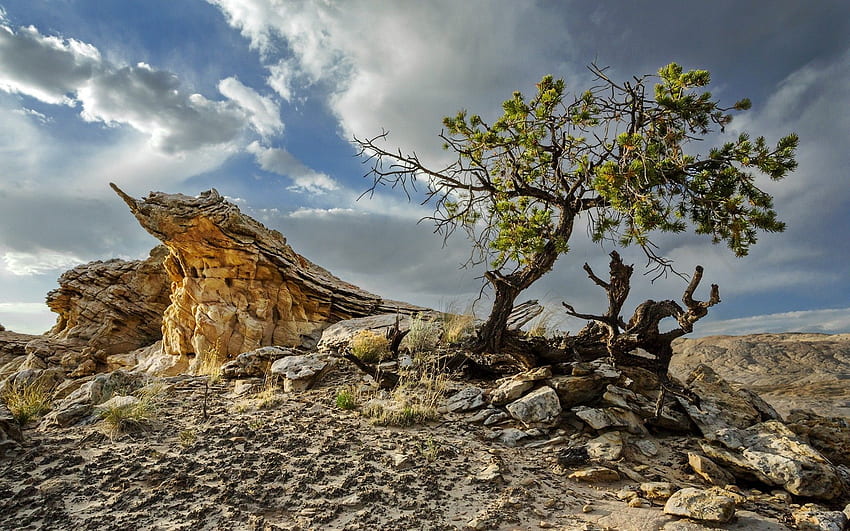 Desert . Background . . - Abyss, Rock Stone HD wallpaper