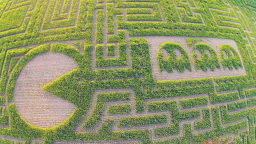 Laberinto de maíz Farmstead de Idaho: la agricultura se encuentra con