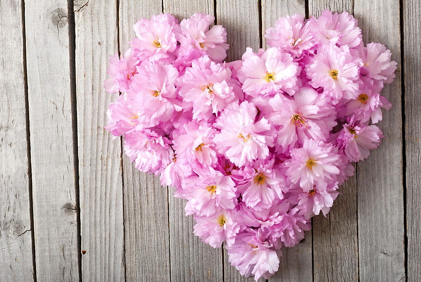 флорално сърце розово любовно цвете HD тапет
