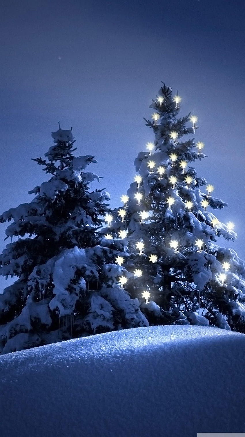 Snow Christmas Tree Winter IPhone 6 In 2019, Snowy Winter iPhone HD phone wallpaper