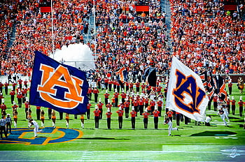 44 Auburn Wallpaper  WallpaperSafari