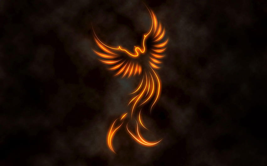 Dragons And Phoenix Rising from Ashes, Phoenix Minimalist HD тапет