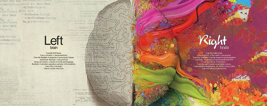 左脳と右脳のクールな解像度、アーティスト、背景 高画質の壁紙