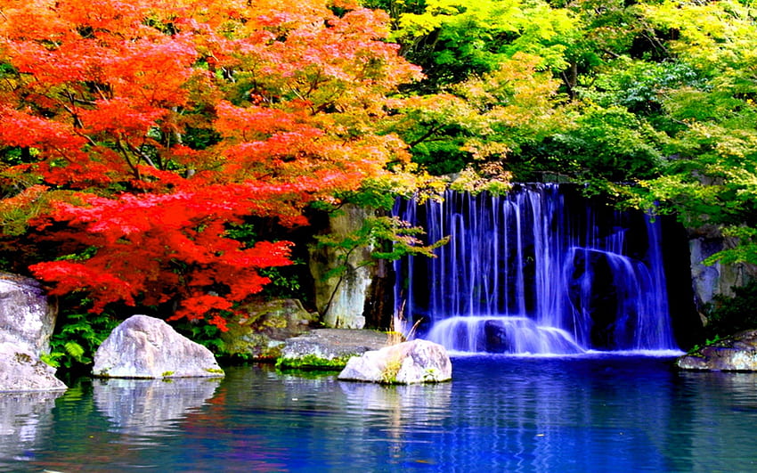 FALLS in FALLS, trees, colors, waterfalls, pool, forest HD wallpaper ...