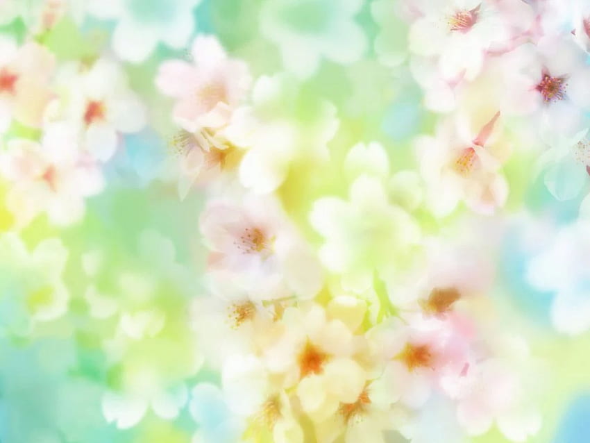 Fiori di fantasia - Primavera da sogno - Fiori di ciliegio pastello. Arte Sfondo HD