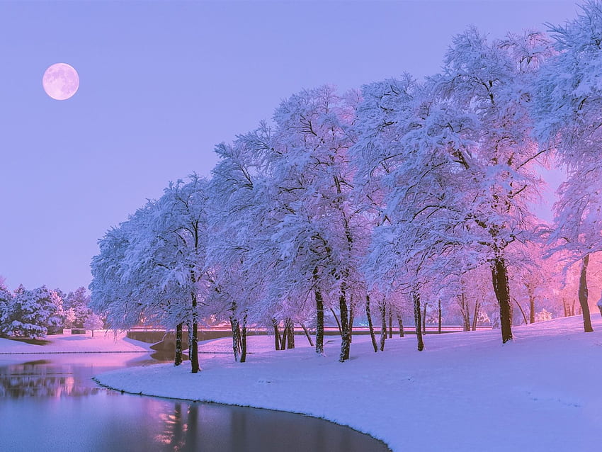 Hermoso invierno, nieve, árboles, río, luna, atardecer, Pink Snow fondo de pantalla