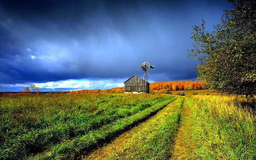 Schöne Windmühle und Bauernhaus, Windmühle, Feld, Haus, Bäume, Bauernhof, Himmel, Natur HD-Hintergrundbild
