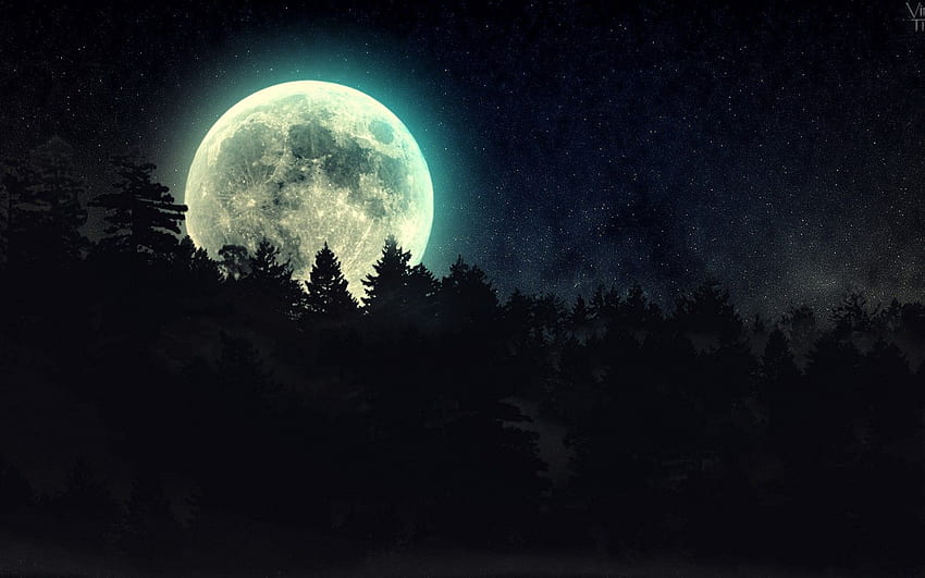 Forêt Moonlight FullWpp Full [] pour votre , Mobile & Tablet. Explorez le clair de lune. Lune, Lune pour ordinateur, Nuit, Moonlight City Fond d'écran HD