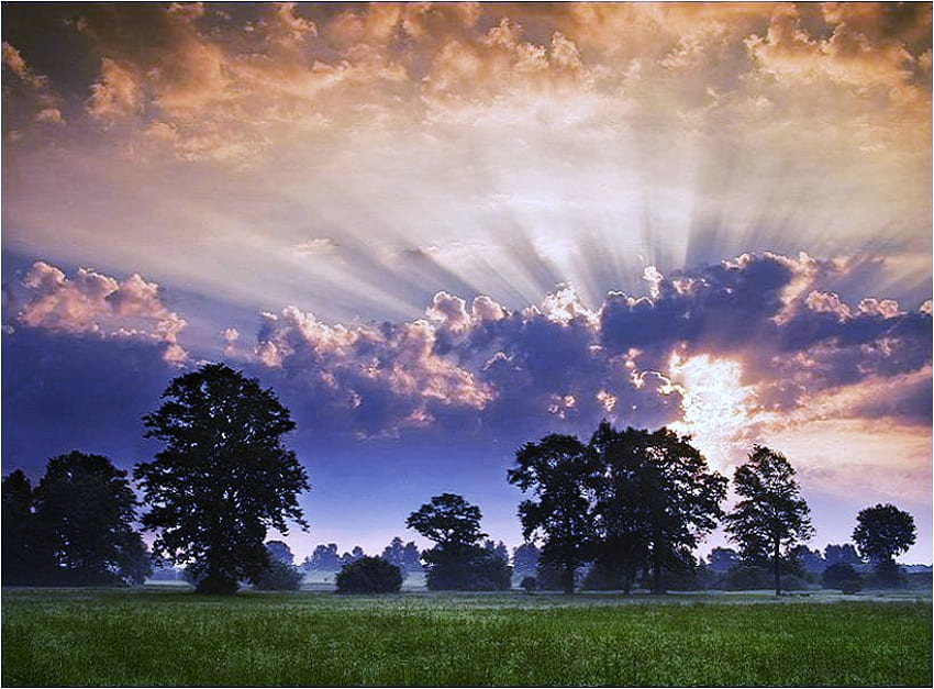 Dawn of a new day, blue sky, dawn, clouds, trees, grass, sunrise HD wallpaper