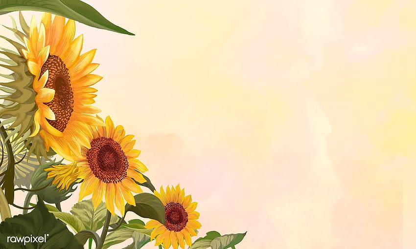 premium illustration of Hand drawn sunflowers on a yellow, Rustic Sunflower HD wallpaper