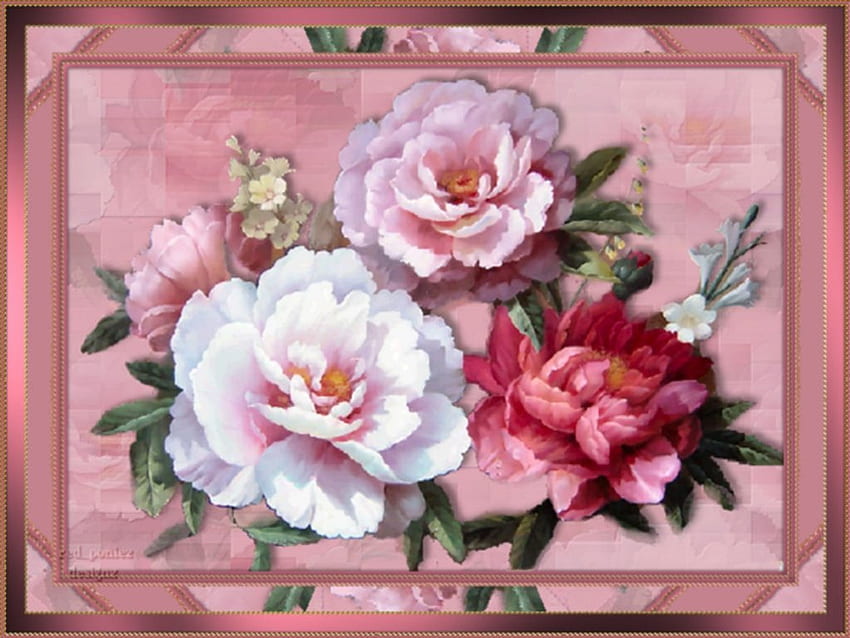 Framed roses, flowers, roses HD wallpaper