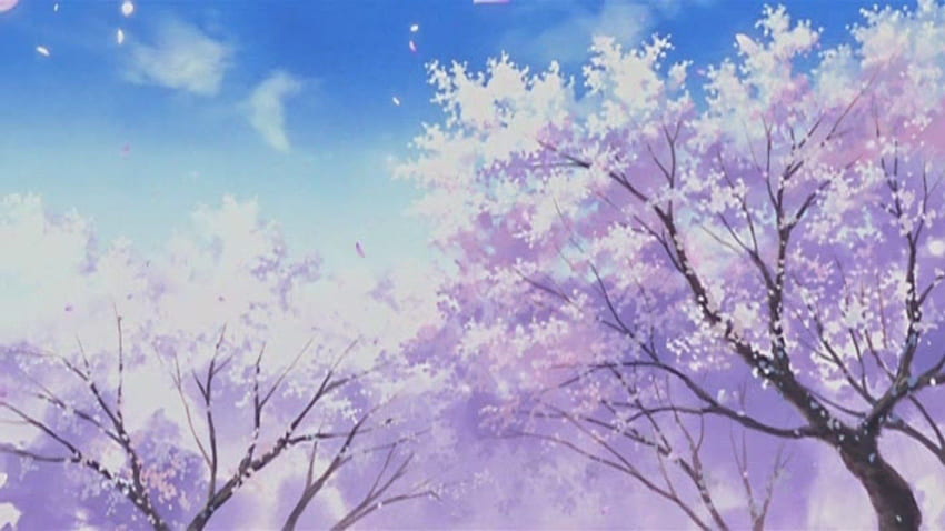 Anime Cherry Blossom Aesthetic - - - Dica, Sakura Tree Anime papel de parede HD