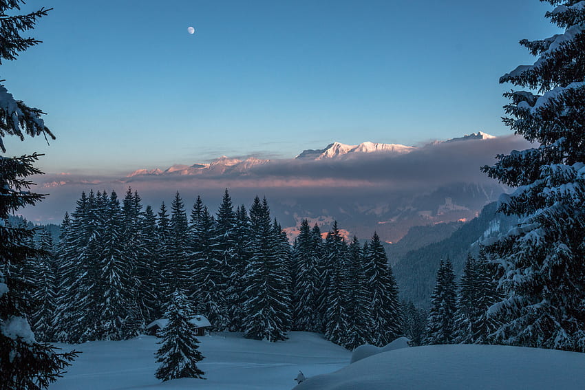 Invierno, naturaleza, árboles, montañas, crepúsculo, nieve, anochecer fondo de pantalla