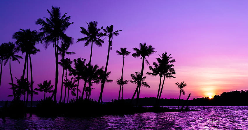 Purple sky, palm trees, lake HD wallpaper