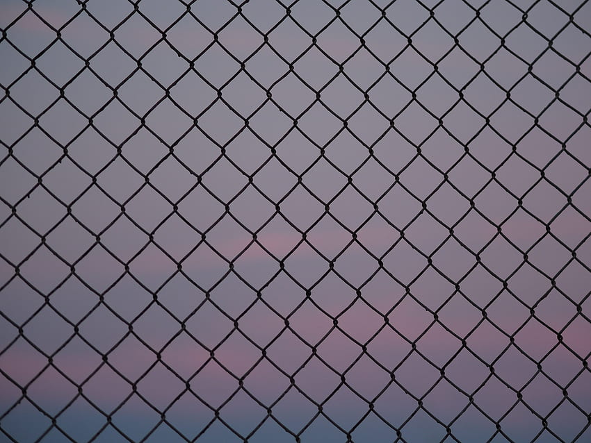 Background, , , Grid, Fence, Lattice, Trellis HD wallpaper