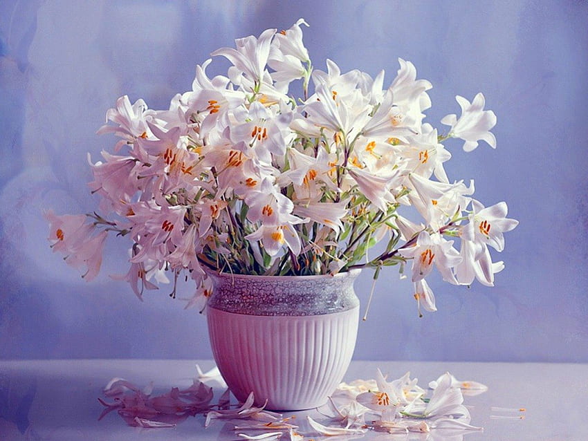 Само лилии, ваза, бяло, цветя, лилии HD тапет
