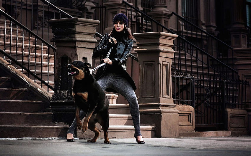 Balenciaga Is the Latest Designer Brand to Add Pet Accessories  WWD