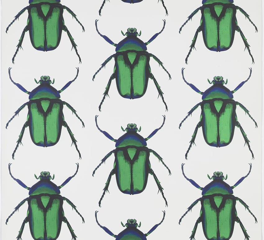 It's All About the Beetle. Cooper Hewitt, Smithsonian Design Museum, Green Beetle HD wallpaper