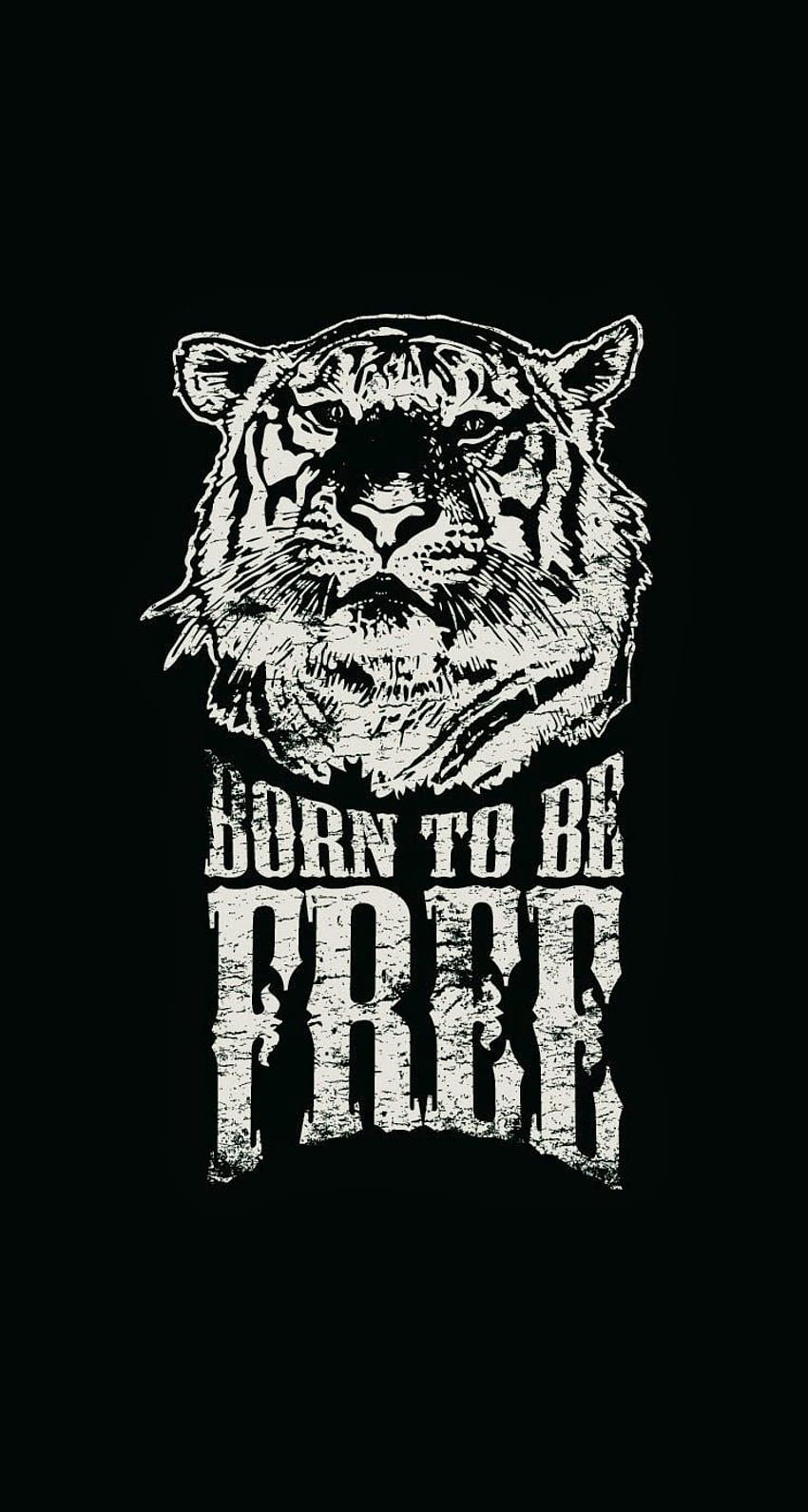 Typography iPhone For, Tiger Hipster HD phone wallpaper