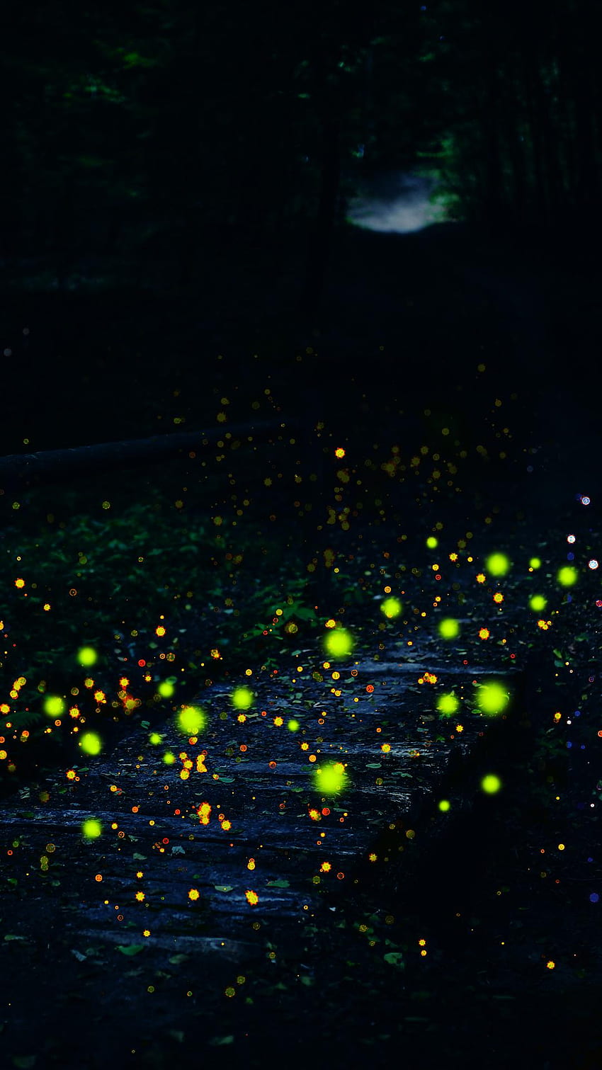 Firefly APUS Live APK 1.1 for Android – Firefly APUS Live APK Latest Version, Fireflies HD phone wallpaper