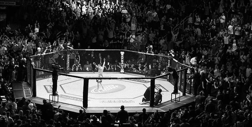 UFC Mixed Martial Arts Mma Fight Extreme Battle Battles Stadium Crowd Crowds B W Black ., UFC Cage HD wallpaper