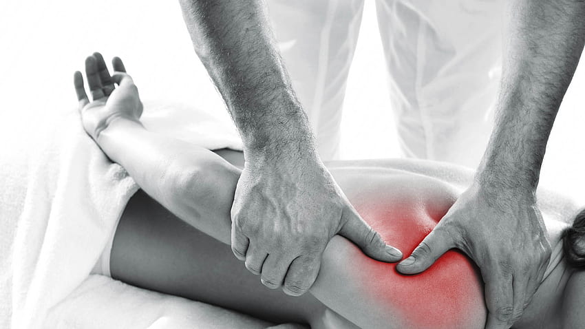 Musculoskeletal, Physiotherapy HD wallpaper