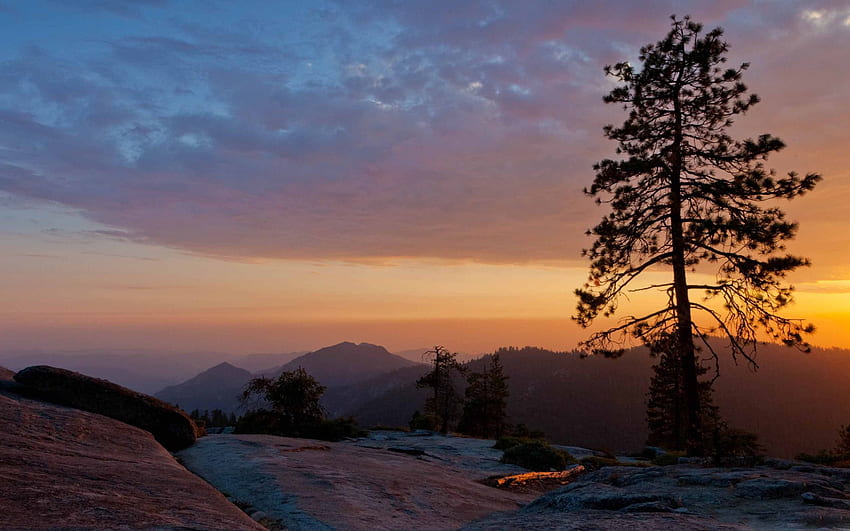MacBook Air del parco nazionale di Beetle Rock Sequoia. TuttoMac Sfondo HD