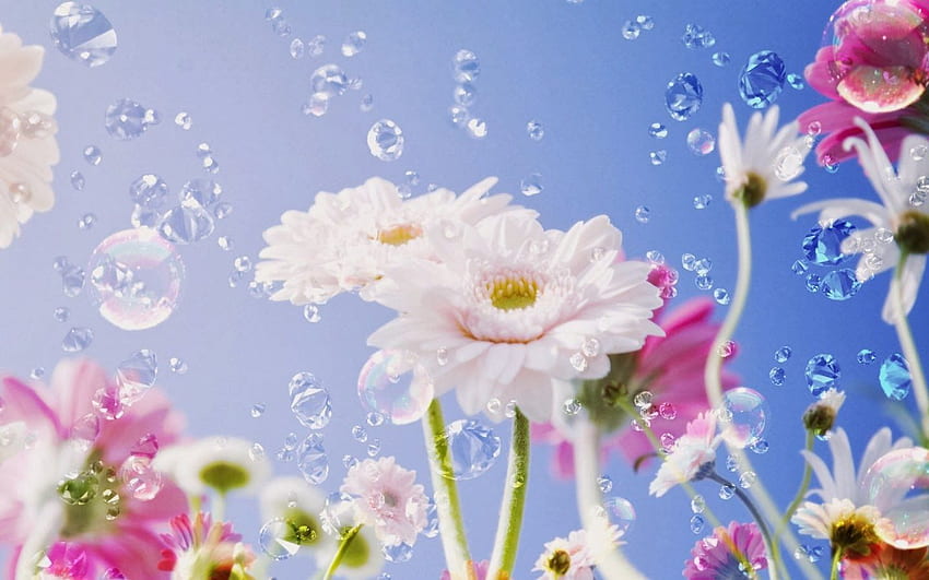 Wallpaper of flowers by xRebelYellx on DeviantArt