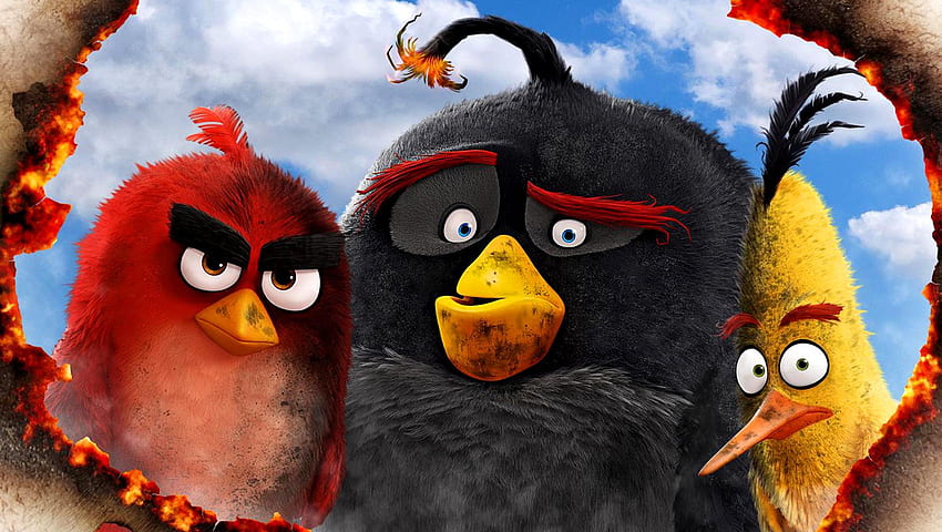 The Angry Birds Movie (2016) HD wallpaper