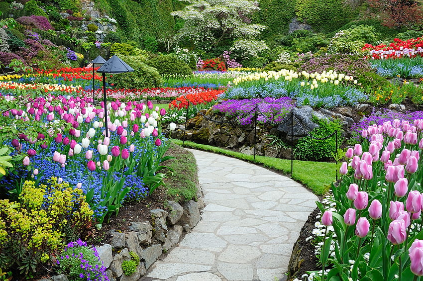 Butchart Gardens, Victoria, B.C., path, colors, flowers, canada, tulips, spring, park HD wallpaper