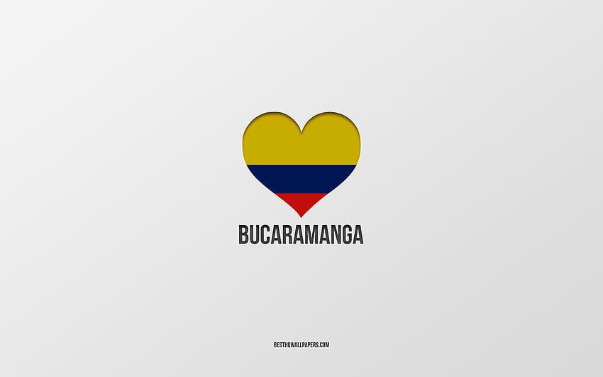 I Love Bucaramanga, Colombian cities, Day of Bucaramanga, gray background, Bucaramanga, Colombia, Colombian flag heart, favorite cities, Love Bucaramanga HD wallpaper
