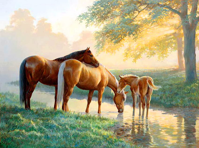 Spring morn, mare, morning, spring, colt, horses, stallion, family, trees, stream HD wallpaper