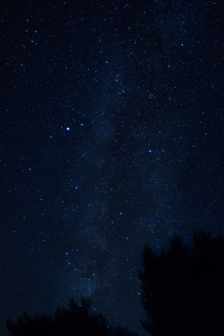 Nature, Trees, Night, Starry Sky, Croatia HD phone wallpaper