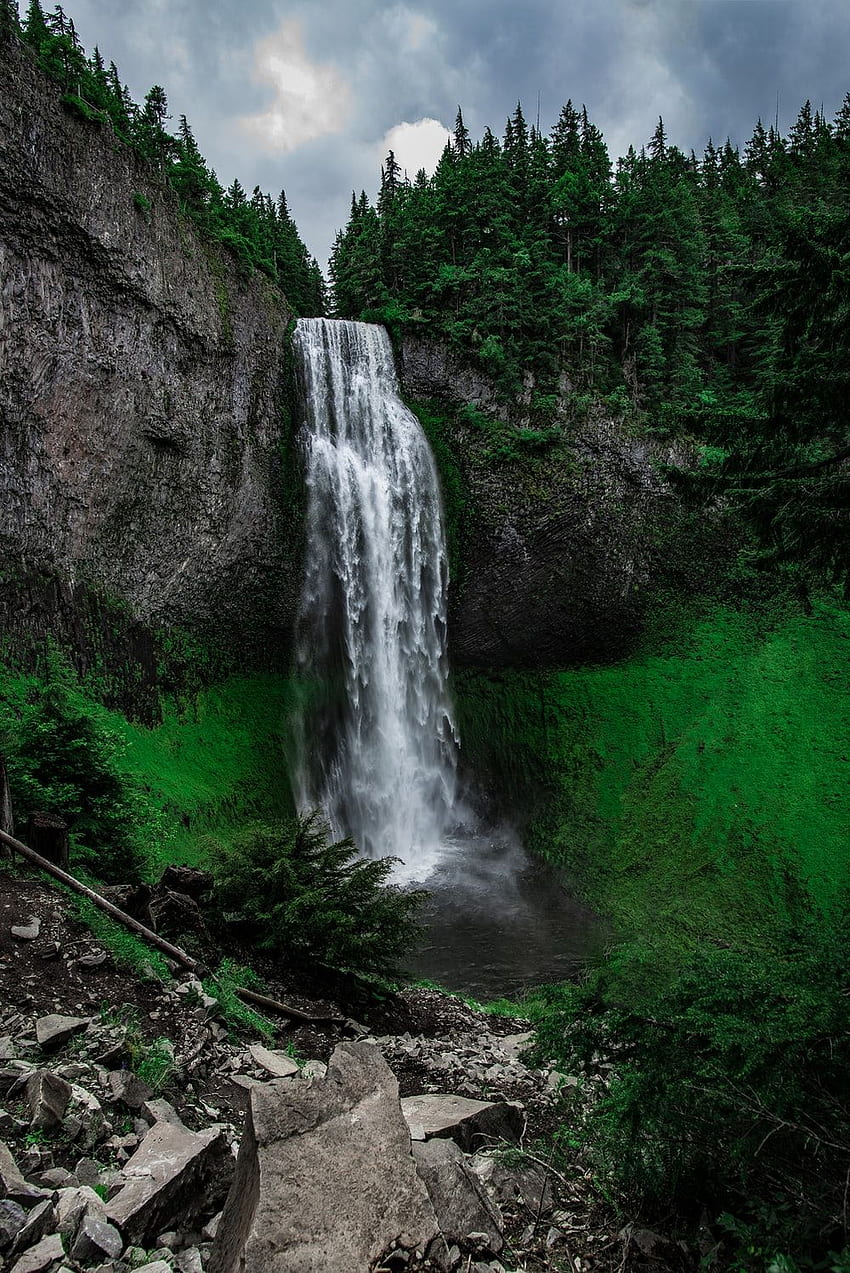 Waterfalls, nature, landscape, waterfall, forest HD wallpaper | Wallpaper  Flare