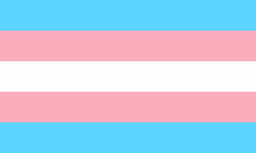 Trans Flag Fresh Transgender Pride afari This Month - Left of The Hudson, Pan Flag HD wallpaper