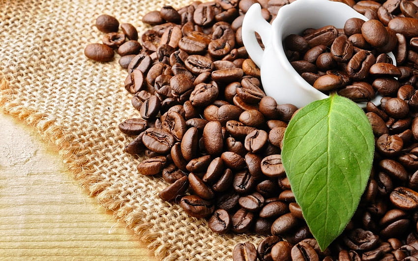 コーヒー豆 - コーヒー豆と緑の葉、 高画質の壁紙