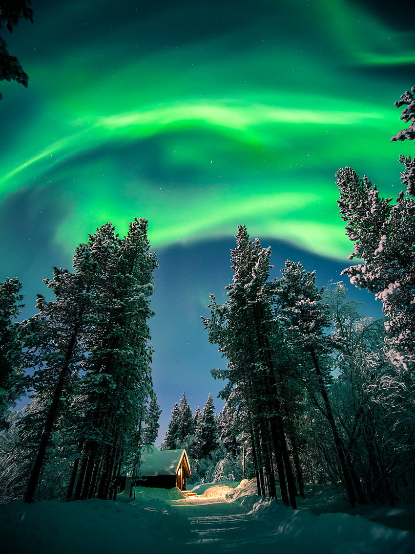 ฤดูหนาว ธรรมชาติ กลางคืน หิมะ ป่าไม้ แสงเหนือ ออโรรา Aurora Borealis วอลล์เปเปอร์โทรศัพท์ HD