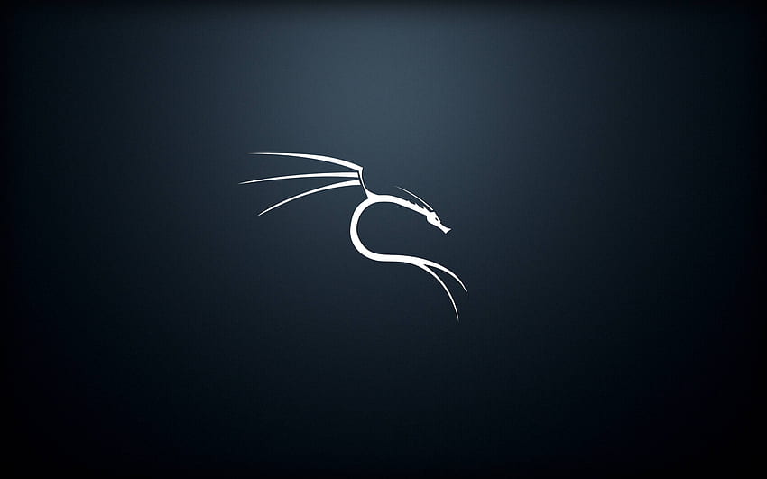 GitHub Dorianpro Kali Linux : ชุดของ Kali Linux* โดยเฉพาะ ซึ่งฉันจะอัปเดตเป็นประจำ พวกเขาทำทั้งหมดโดยใช้ GIMP และ GNU Linux FOSS อื่น ๆ, Linux Blue วอลล์เปเปอร์ HD