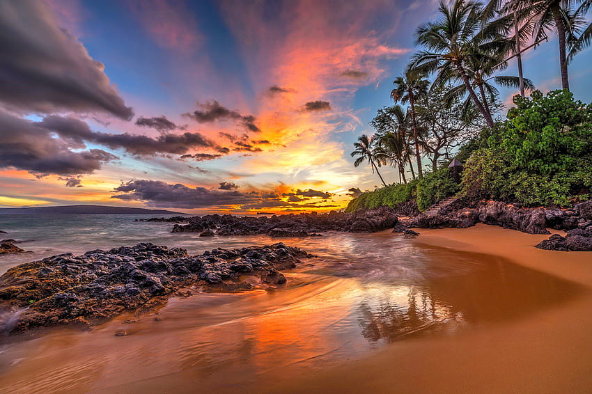 Hawaiianischer Sonnenuntergang, Meer, Palmen, Sand, Küste, Paradies, schön, Strand, feurig, Mexiko, Sommer, Hawaii, Spiegelung, Himmel, Meer, Sonnenuntergang HD-Hintergrundbild