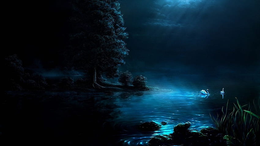 Naturaleza arte pintura noche luz luna lago cisnes negro hermoso. fondo de pantalla